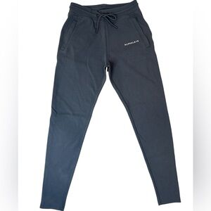 Alphalete Concrete Gray Athletic Joggers Size Large